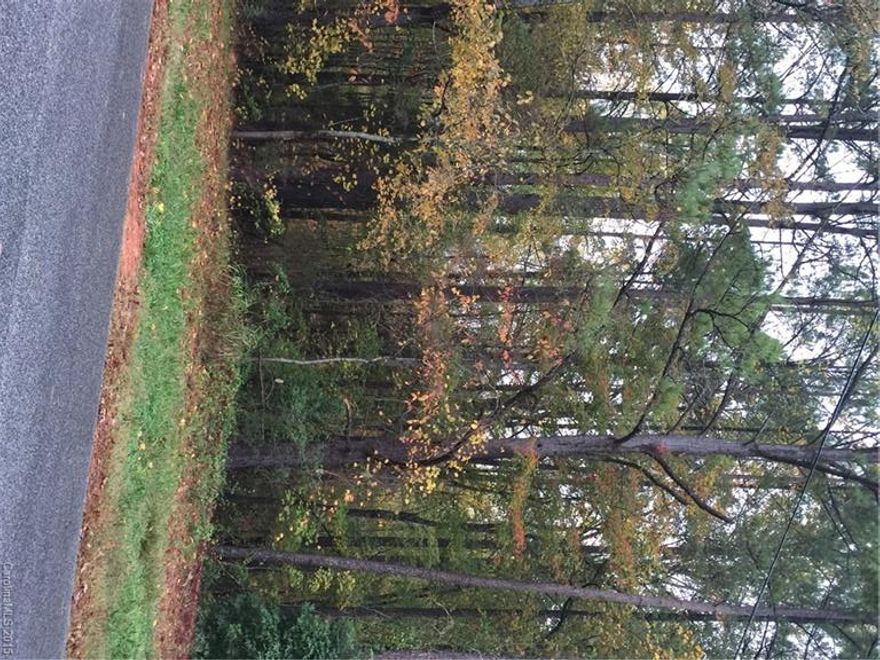 Hard to find residential acreage in Indian Land. Bank-owned property just off 521, approximately 2.5 miles North of Sun City. Lots of mature trees and privacy with a sizable pond on the property. NOTE: This property is under one parcel ID, but consists of 3 tracts of land (B, C & D). No HOAs.