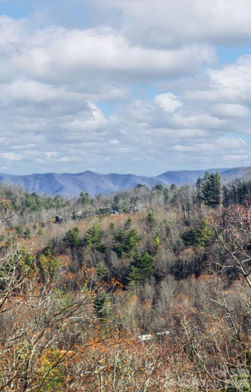 130 Summit Tower Circle LOTS 213 & 214