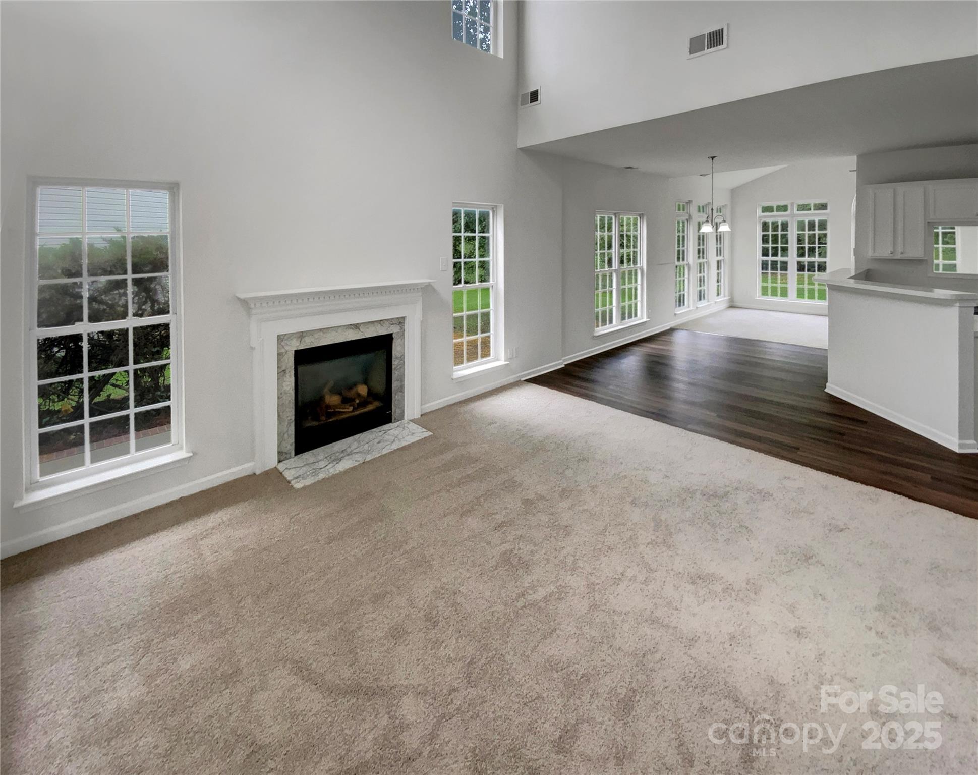 505 Old Vine Court