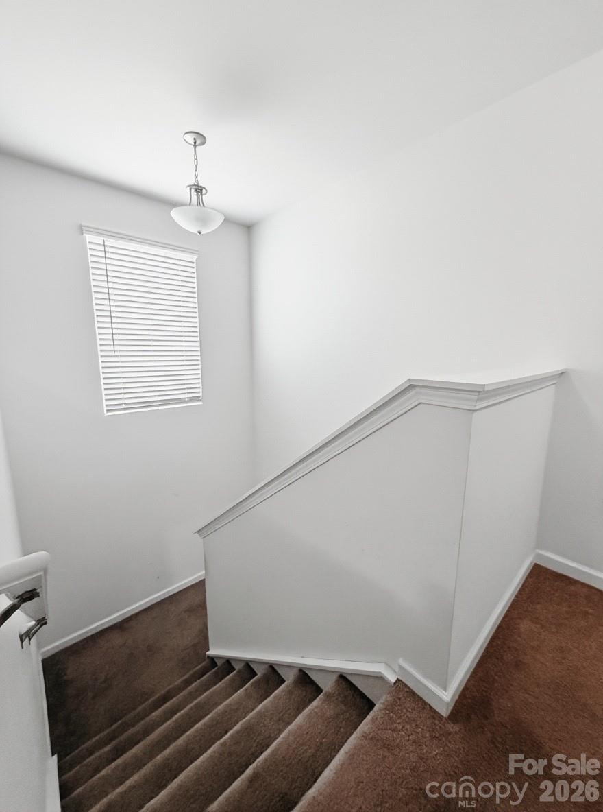 Amberly - Residential