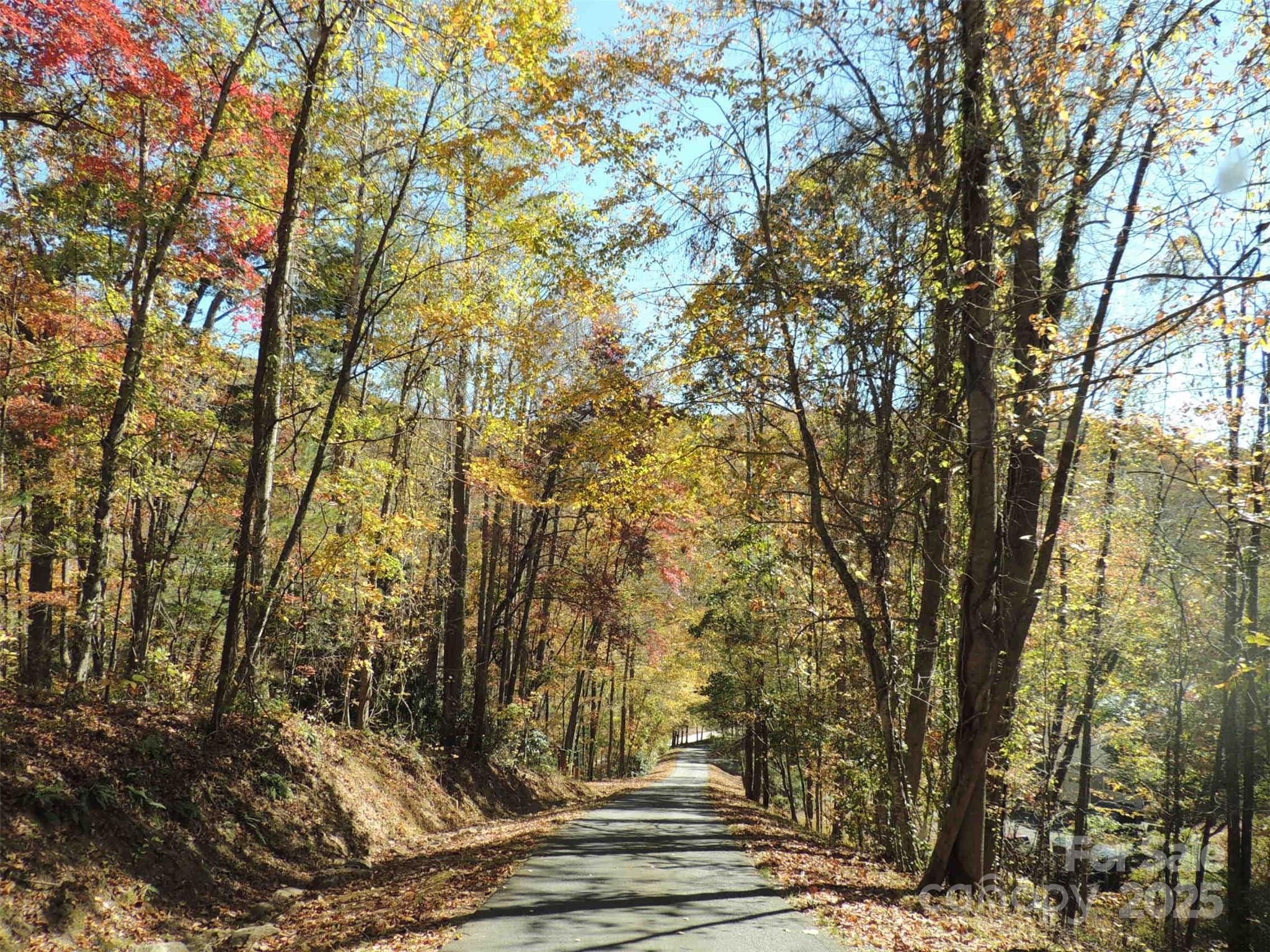 Merrills Park - Residential