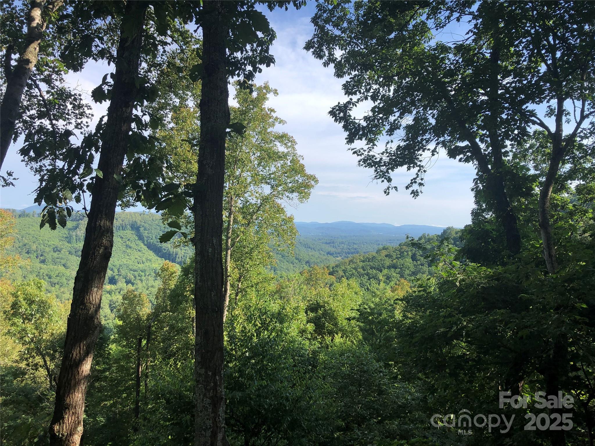 Merrills Park - Residential