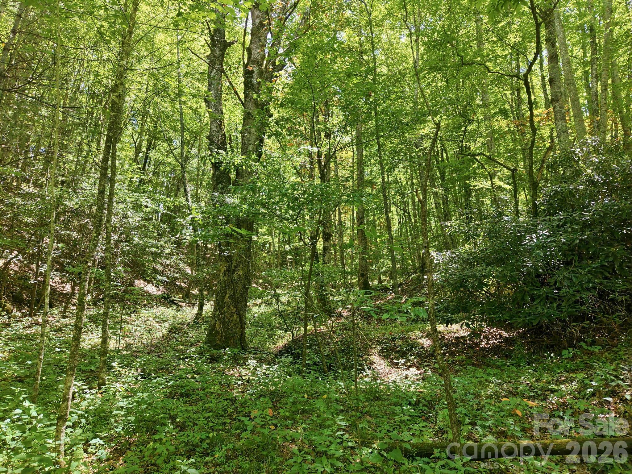 1158 Dark Ridge Road