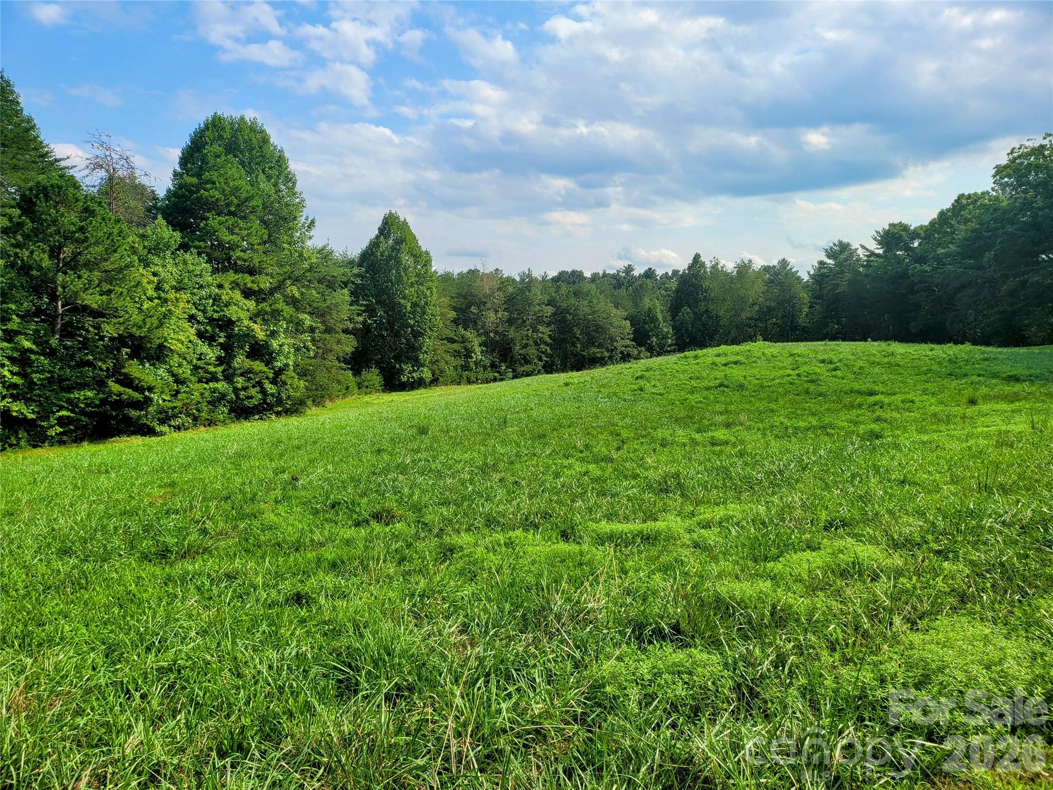 The Coves Mountain River Club - Land