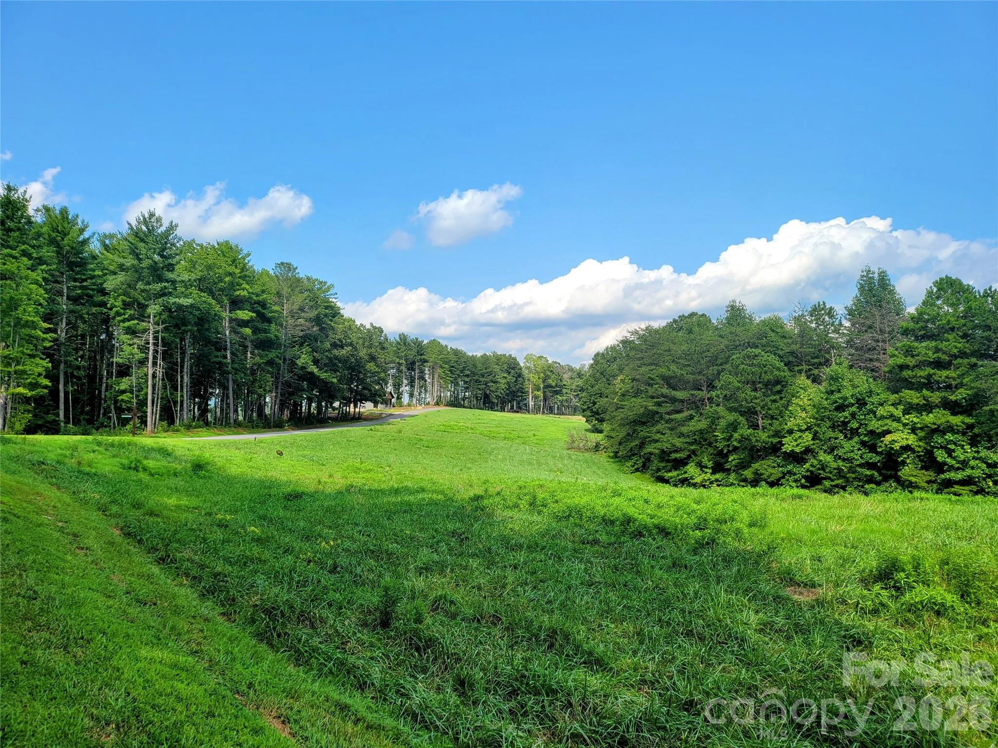 The Coves Mountain River Club - Land