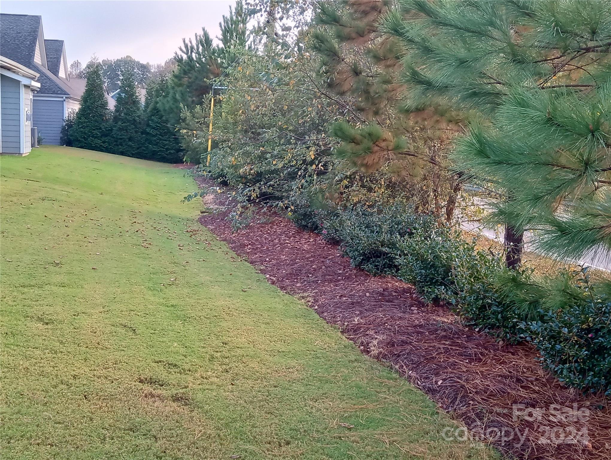 Millbank - Residential