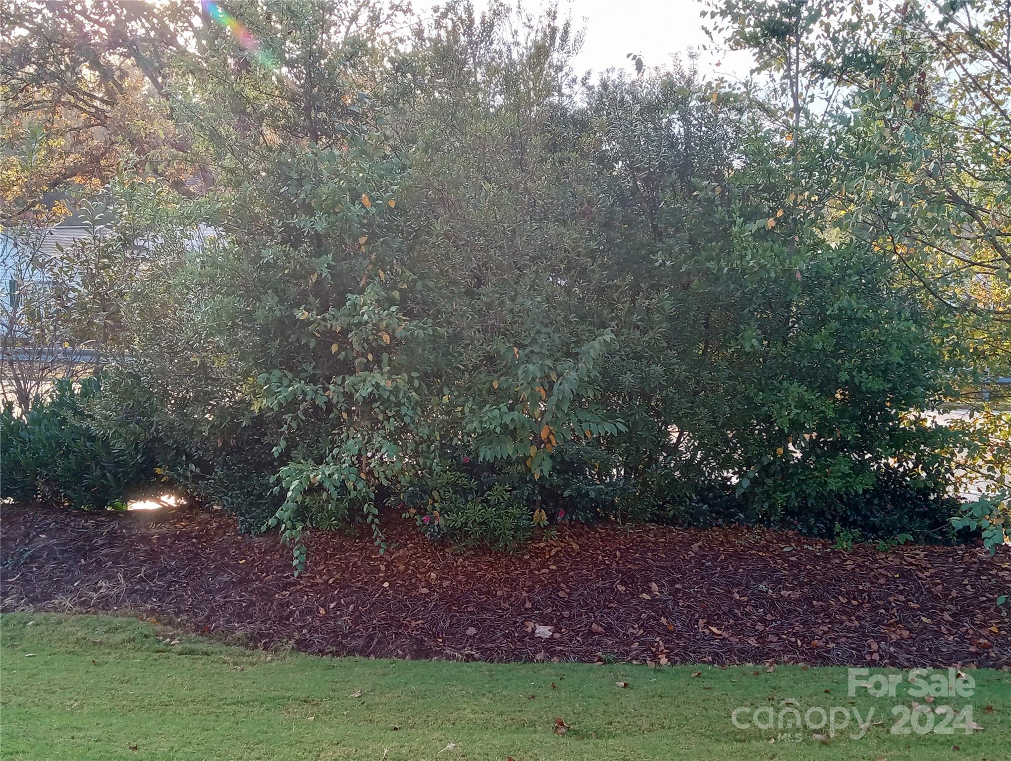 Millbank - Residential