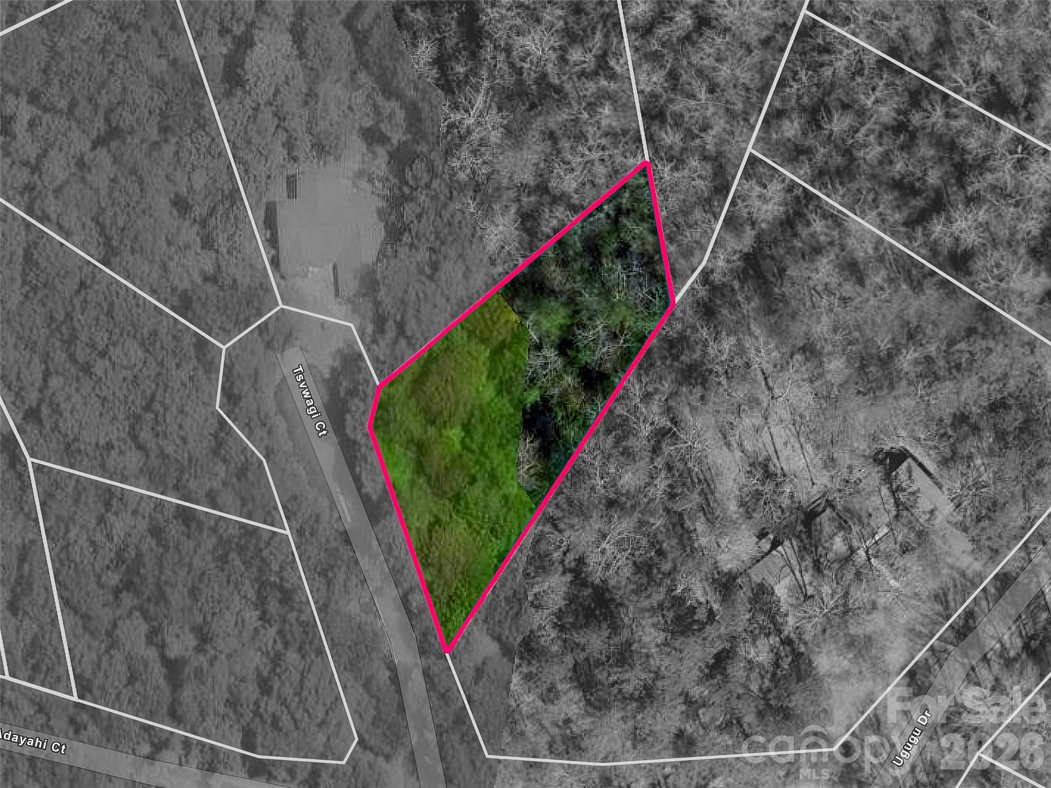 Connestee Falls - Land