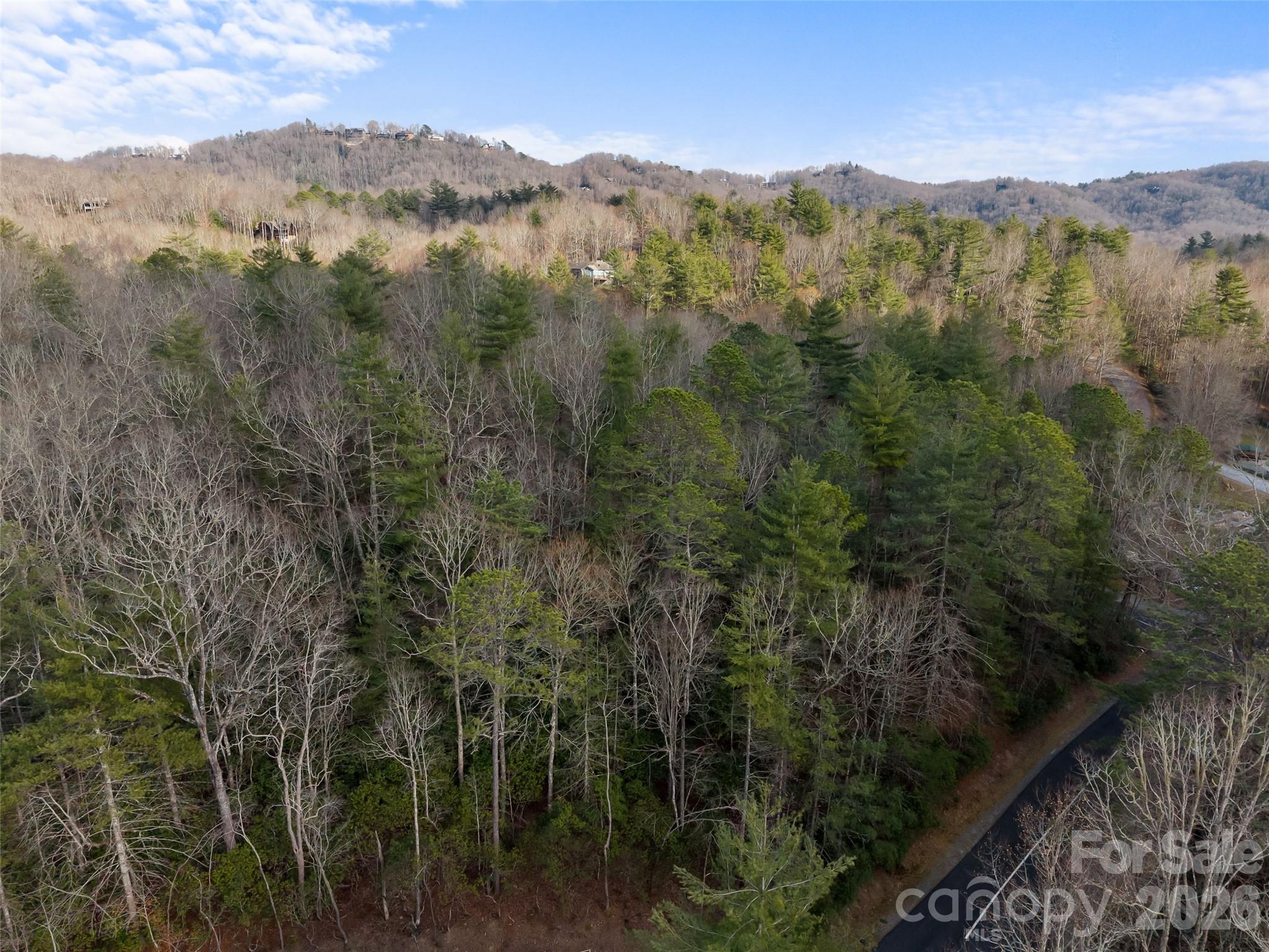 Connestee Falls - Land