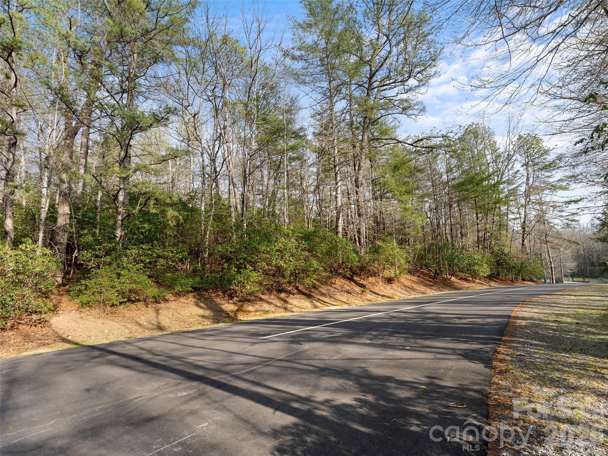 Connestee Falls - Land