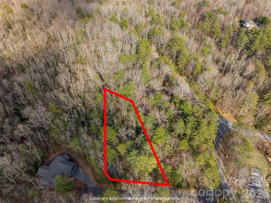 ADDRESS PRIVATE, BREVARD, NC 28712 - Image eb8ff16e0272155206d8a01a875a4e60/2354267063