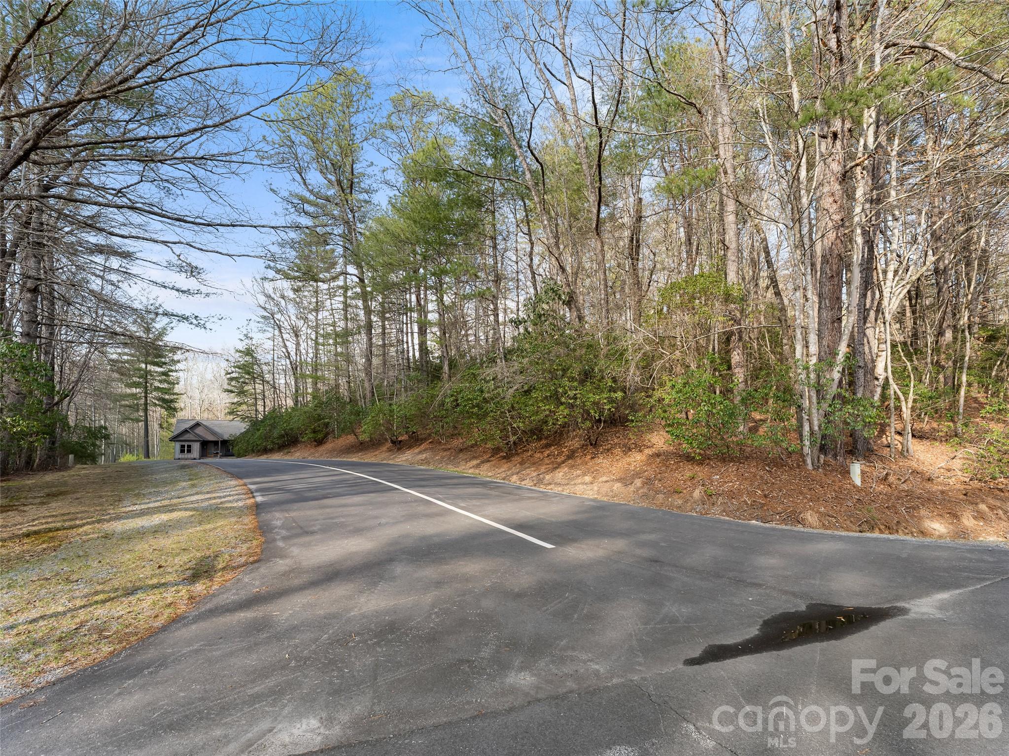 Connestee Falls - Land