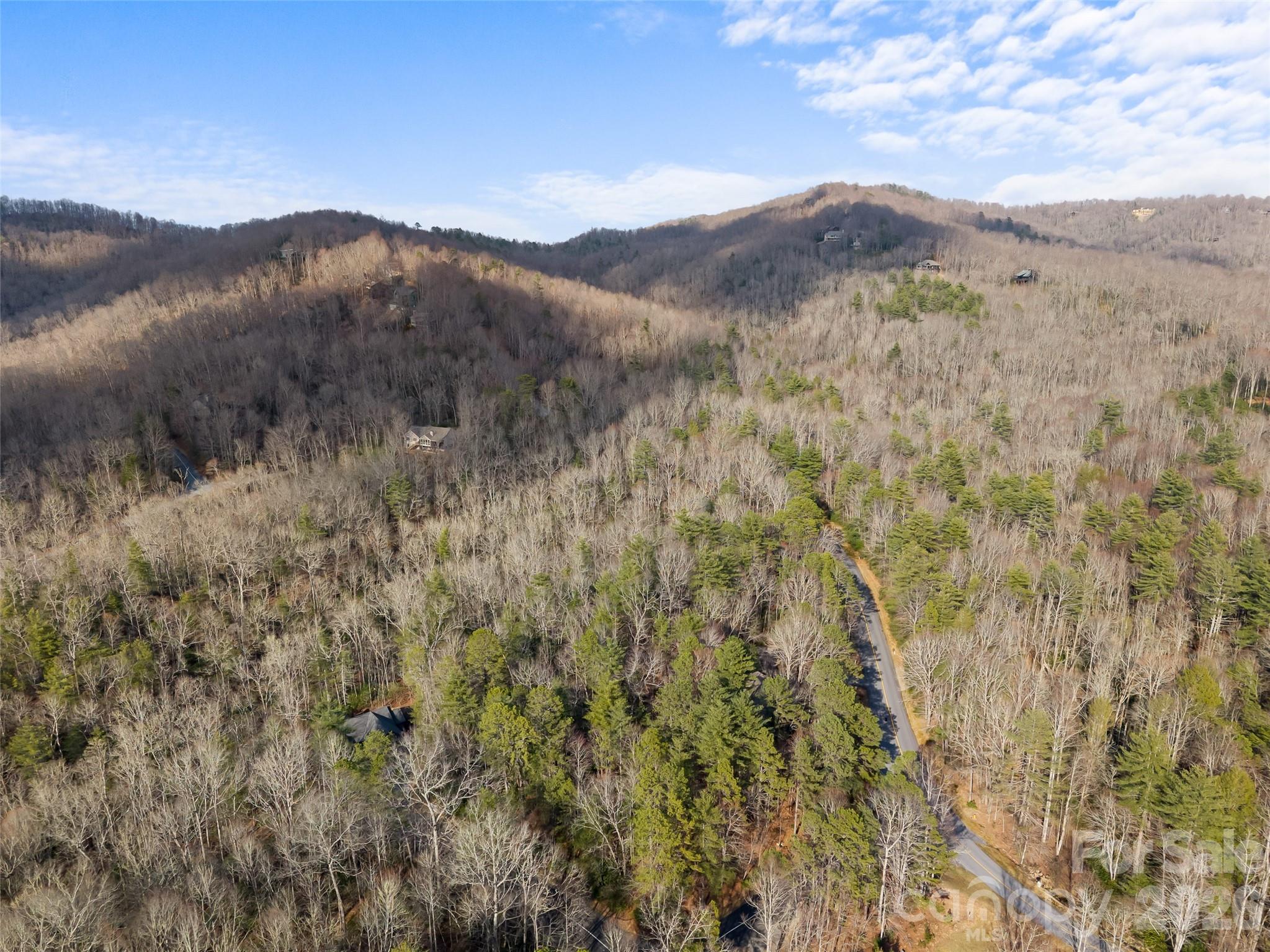 Connestee Falls - Land