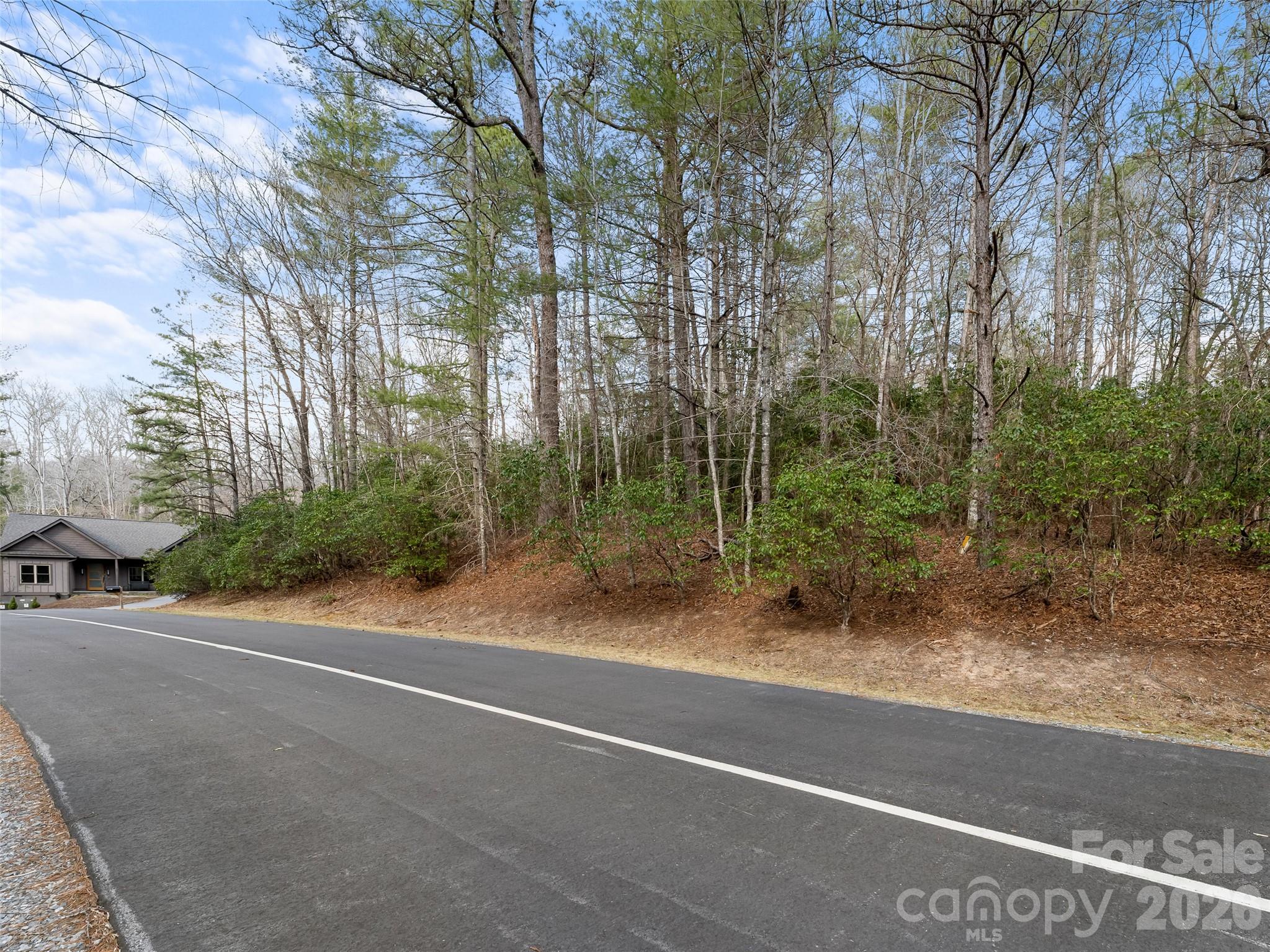 Connestee Falls - Land