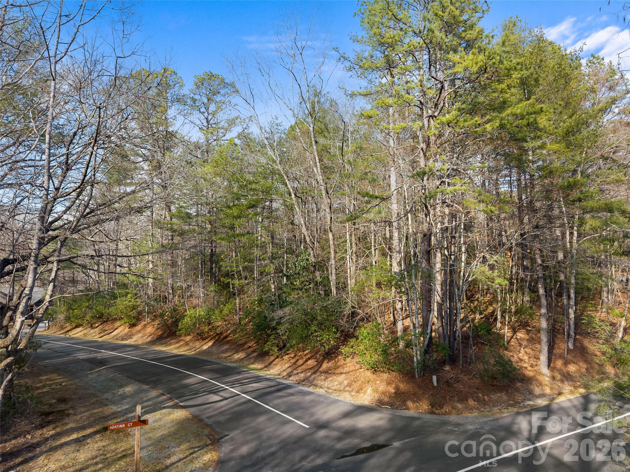 Connestee Falls - Land