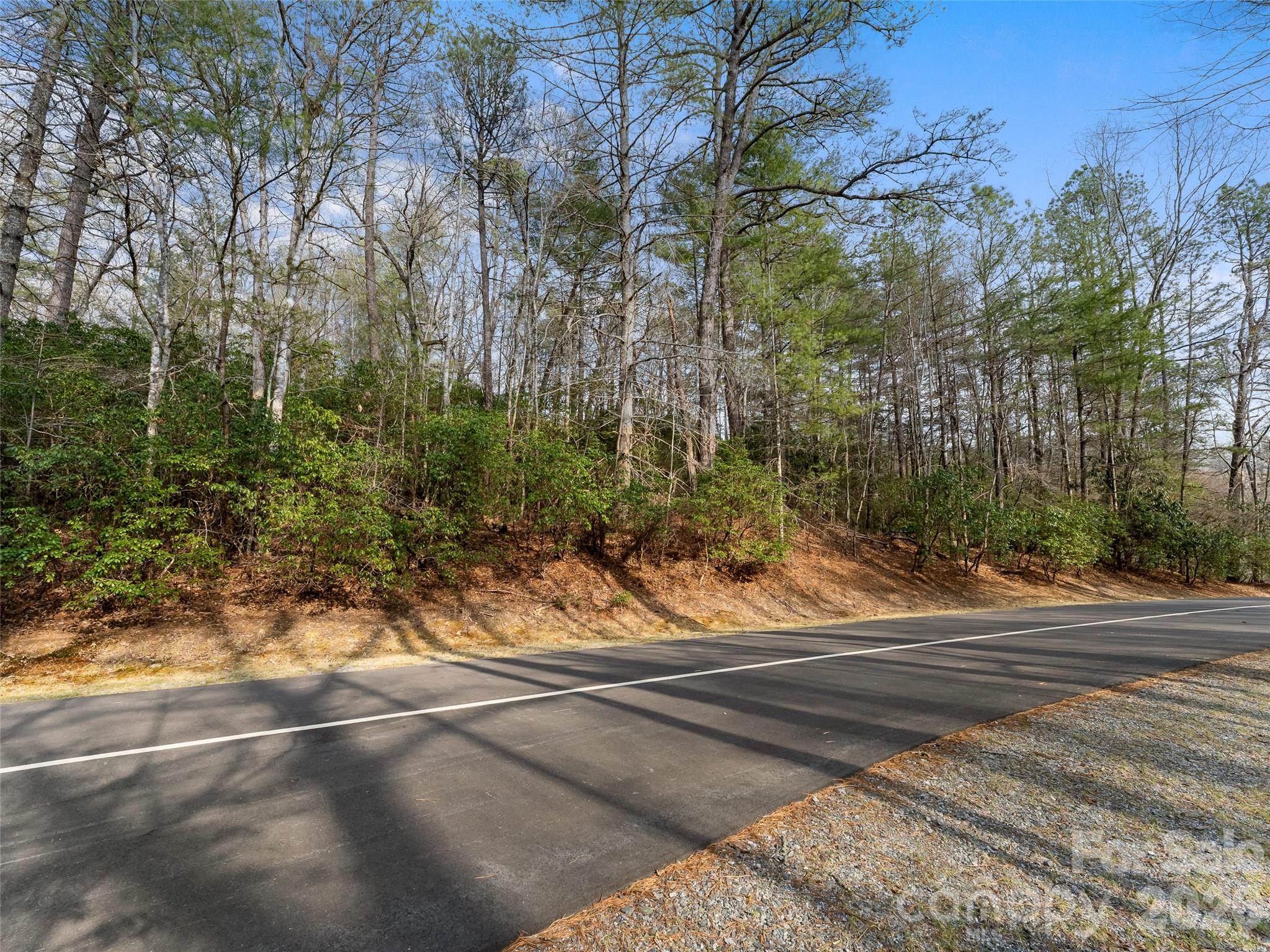 Connestee Falls - Land