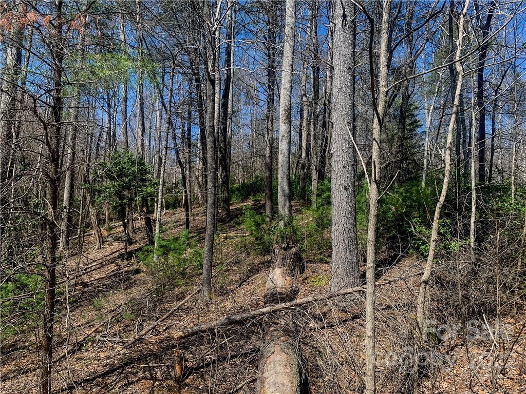 Lurewoods Manor - Land