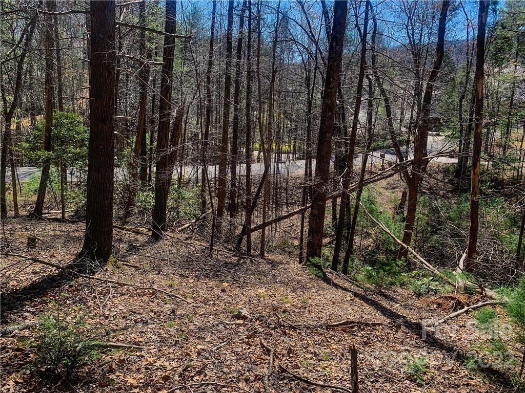 Lurewoods Manor - Land