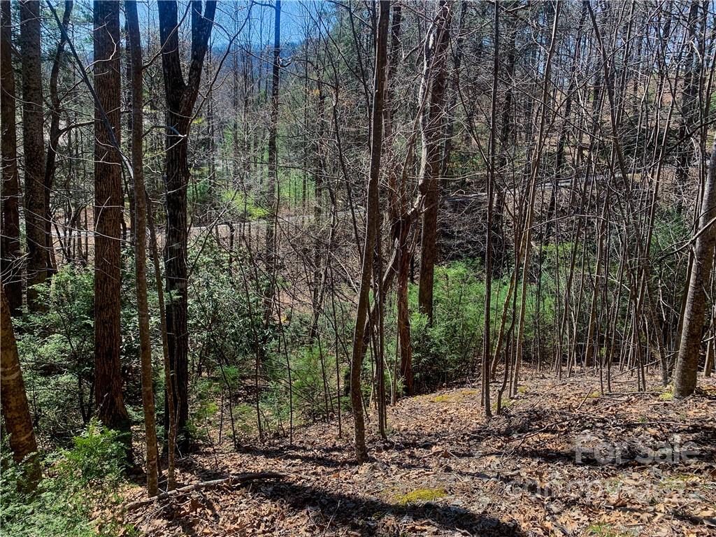 Lurewoods Manor - Land