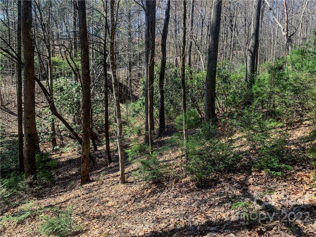 Lurewoods Manor - Land