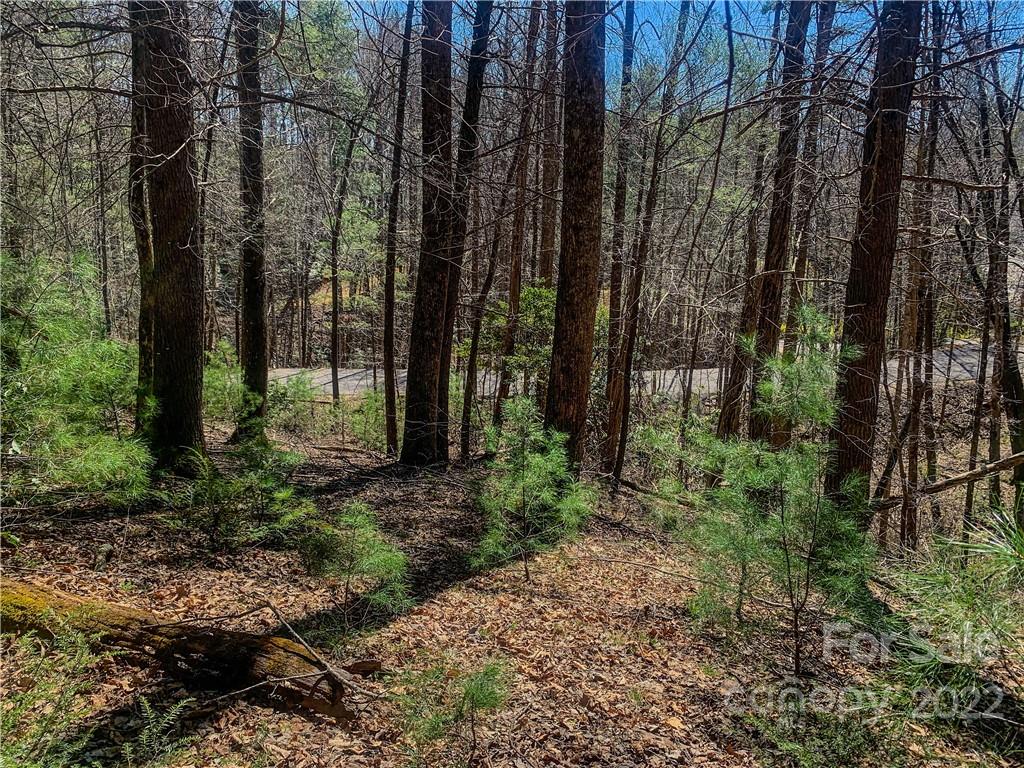 Lurewoods Manor - Land