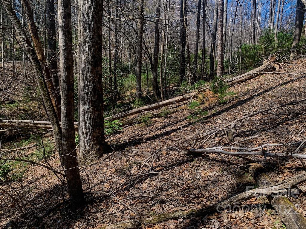 Lurewoods Manor - Land