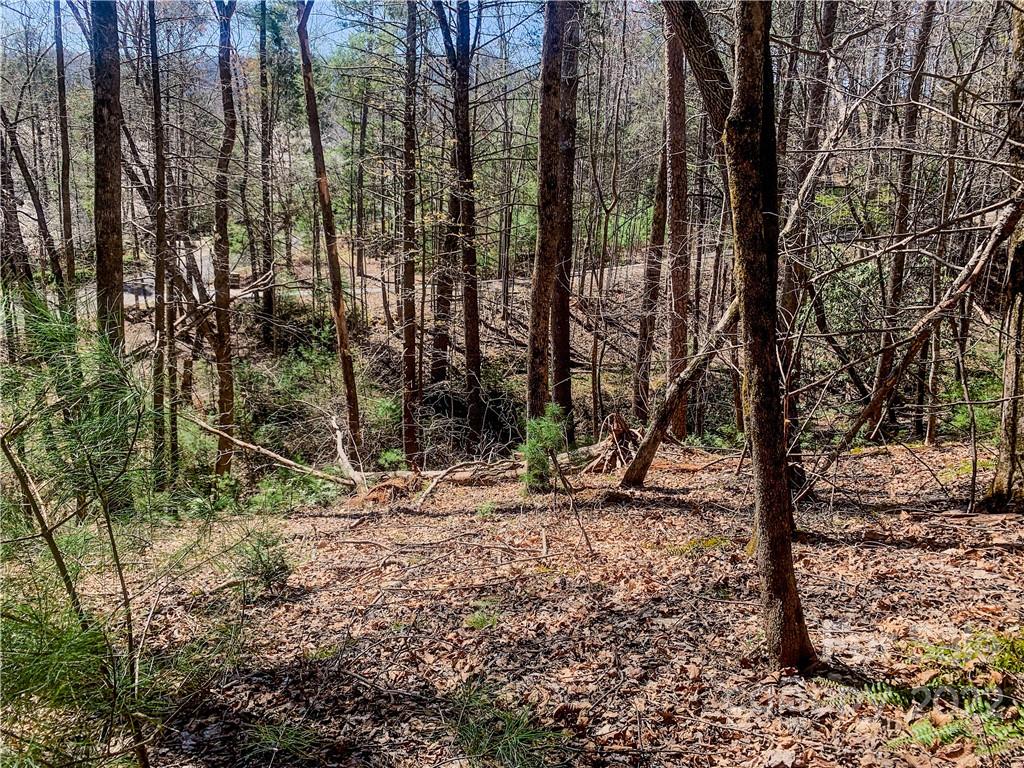 Lurewoods Manor - Land