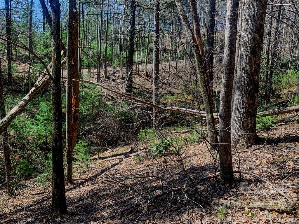 Lurewoods Manor - Land