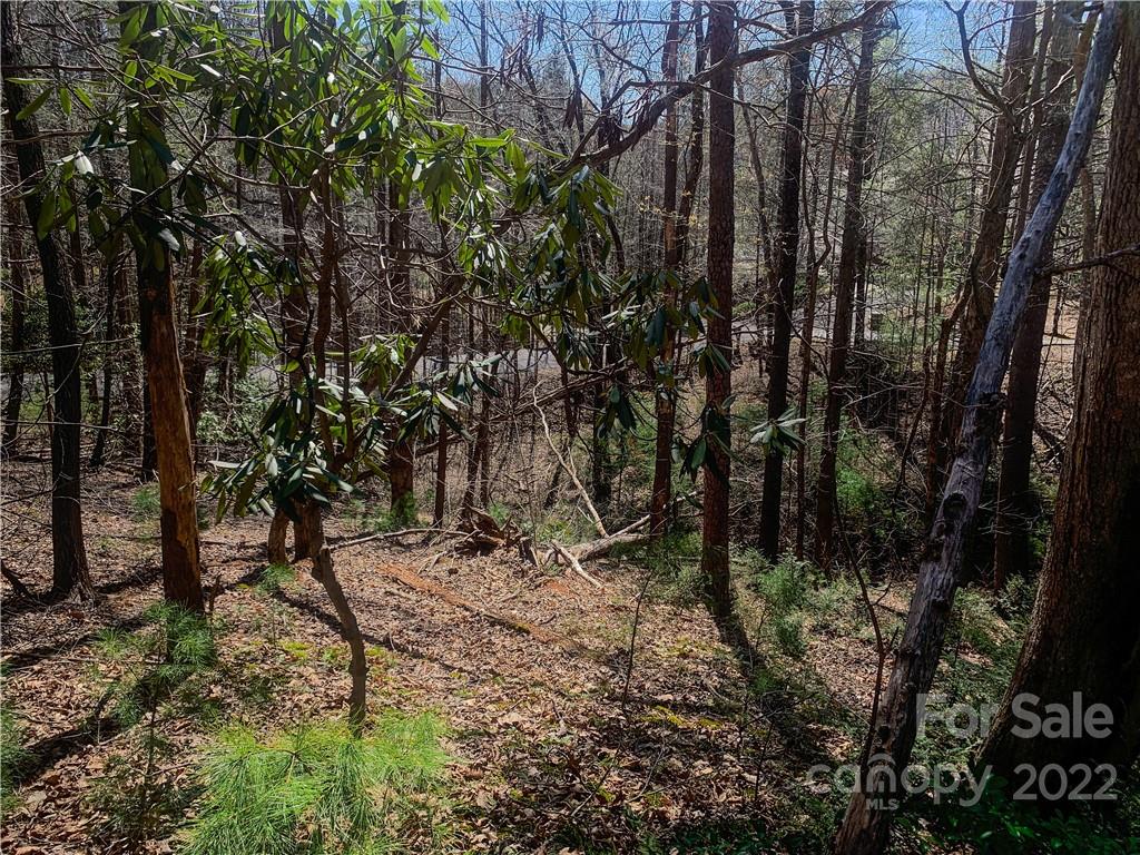 Lurewoods Manor - Land