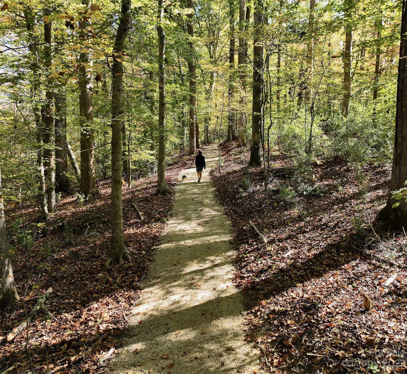 Ventosa at Catawba Springs - Land