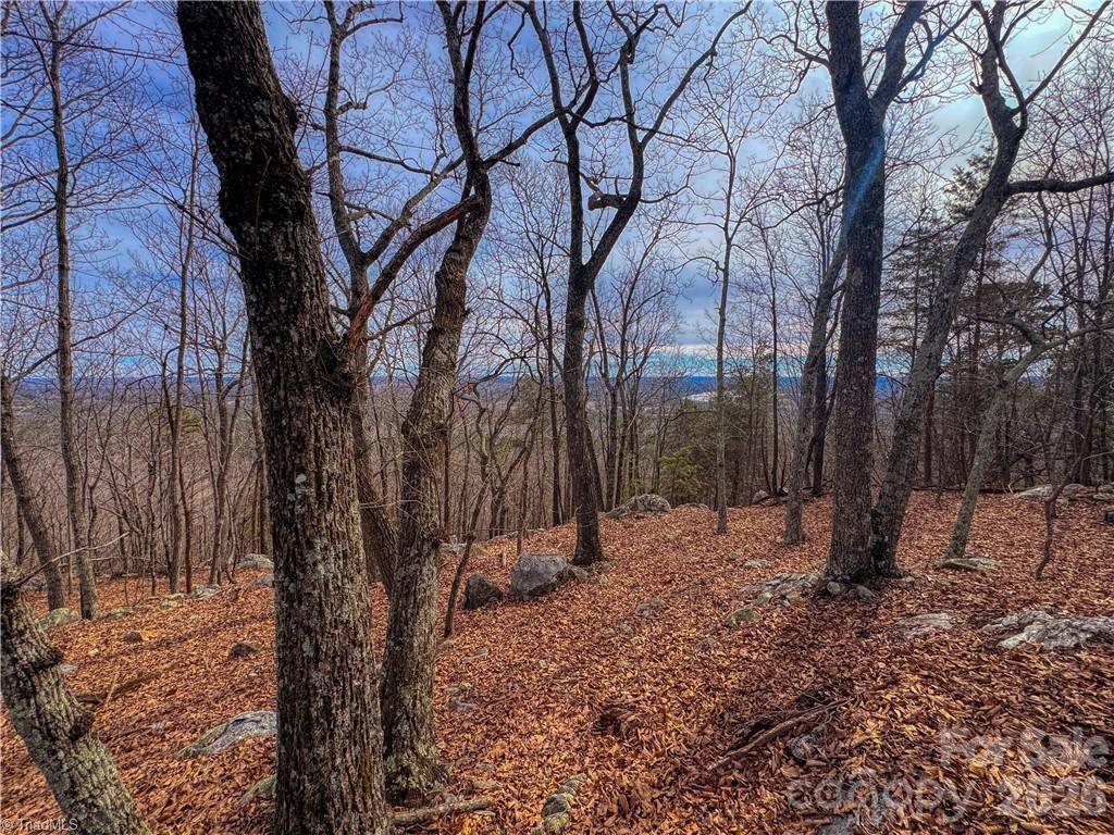 The Springs At High Rock - Land