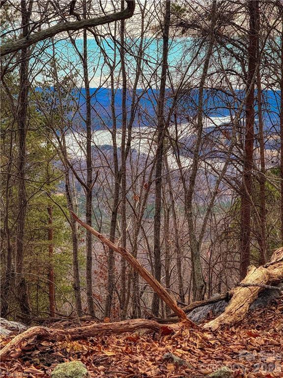 The Springs At High Rock - Land