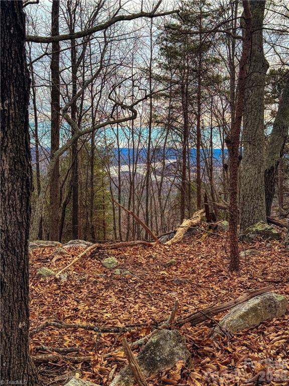 The Springs At High Rock - Land