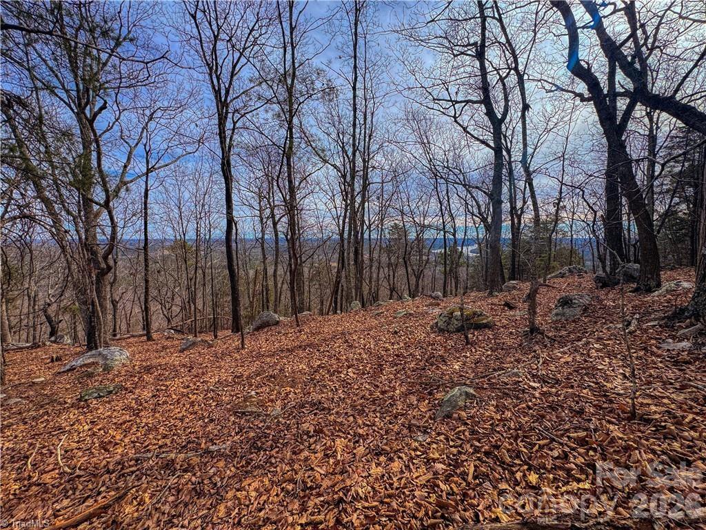 The Springs At High Rock - Land