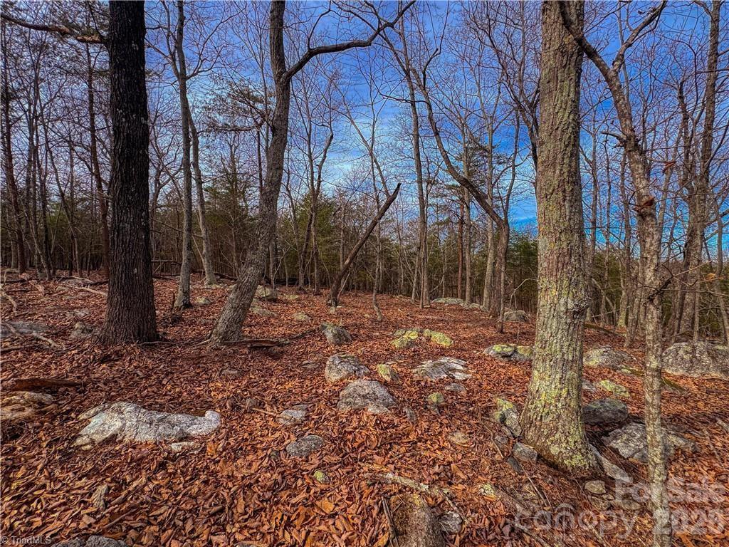 The Springs At High Rock - Land