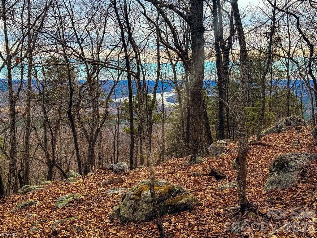 The Springs At High Rock - Land