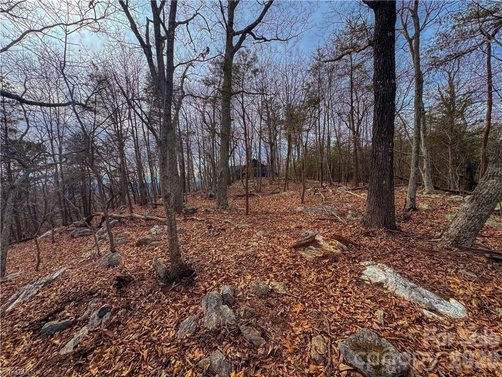 The Springs At High Rock - Land