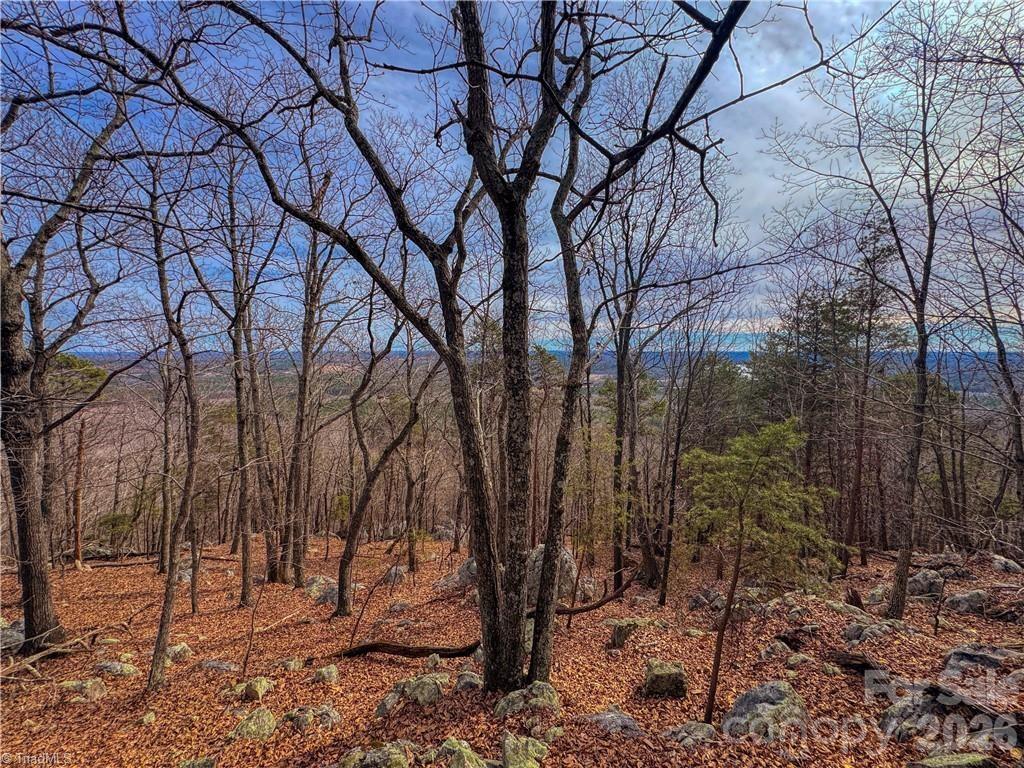 The Springs At High Rock - Land