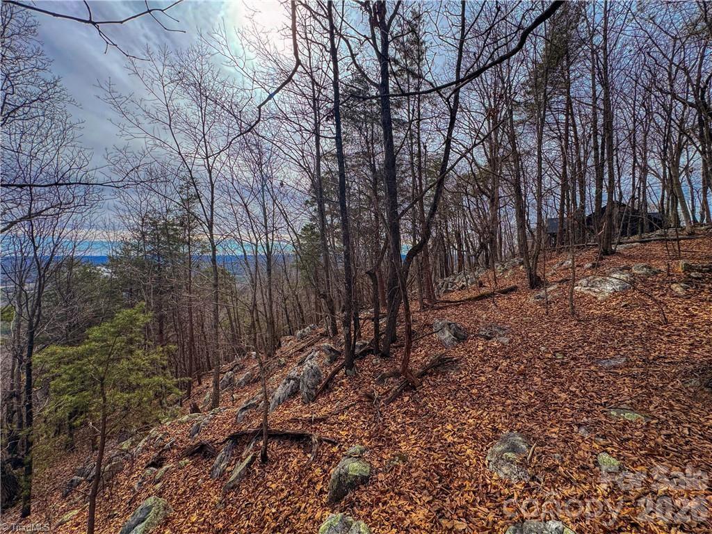 The Springs At High Rock - Land