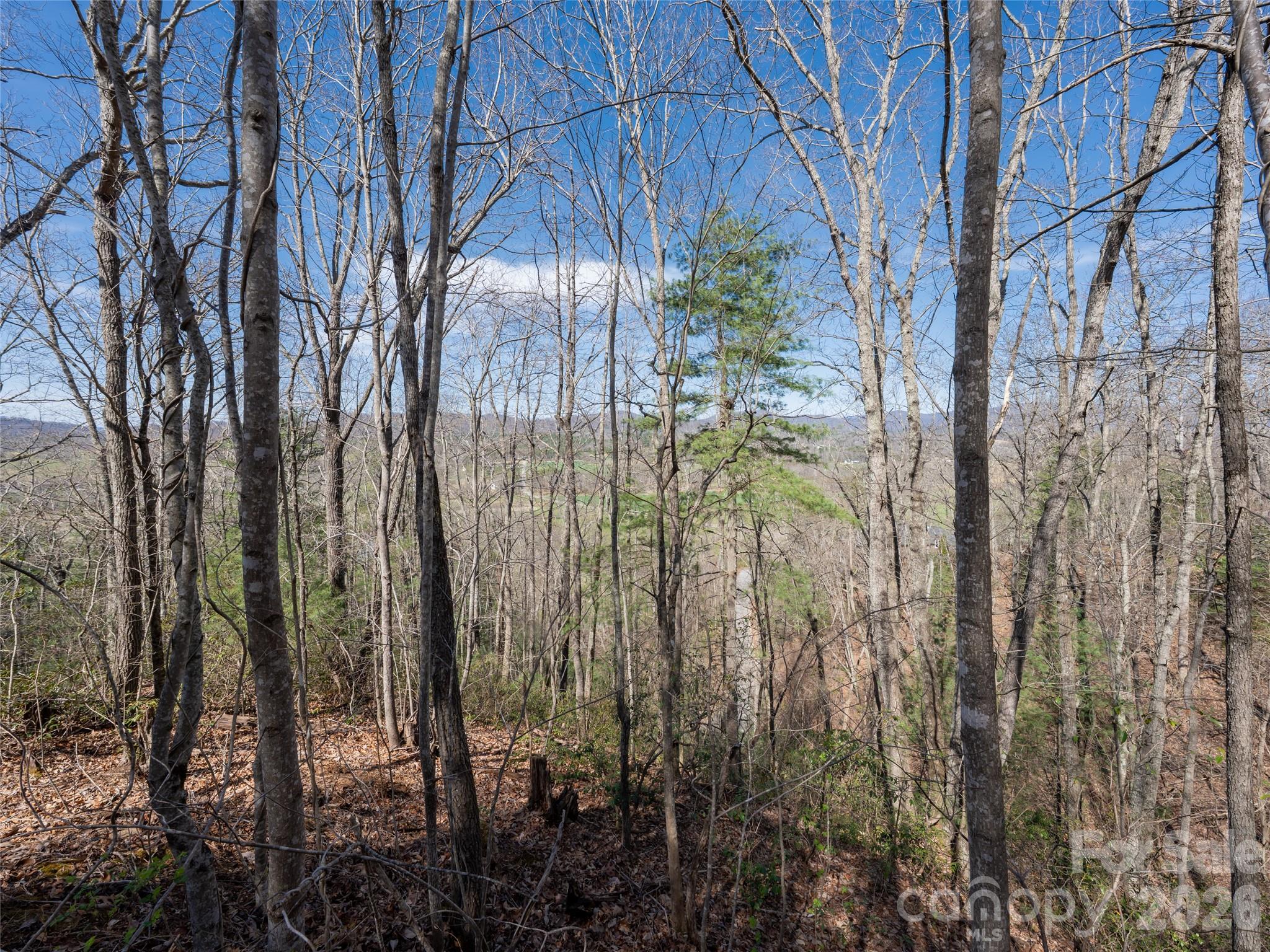 Okoboji Wilderness - Land