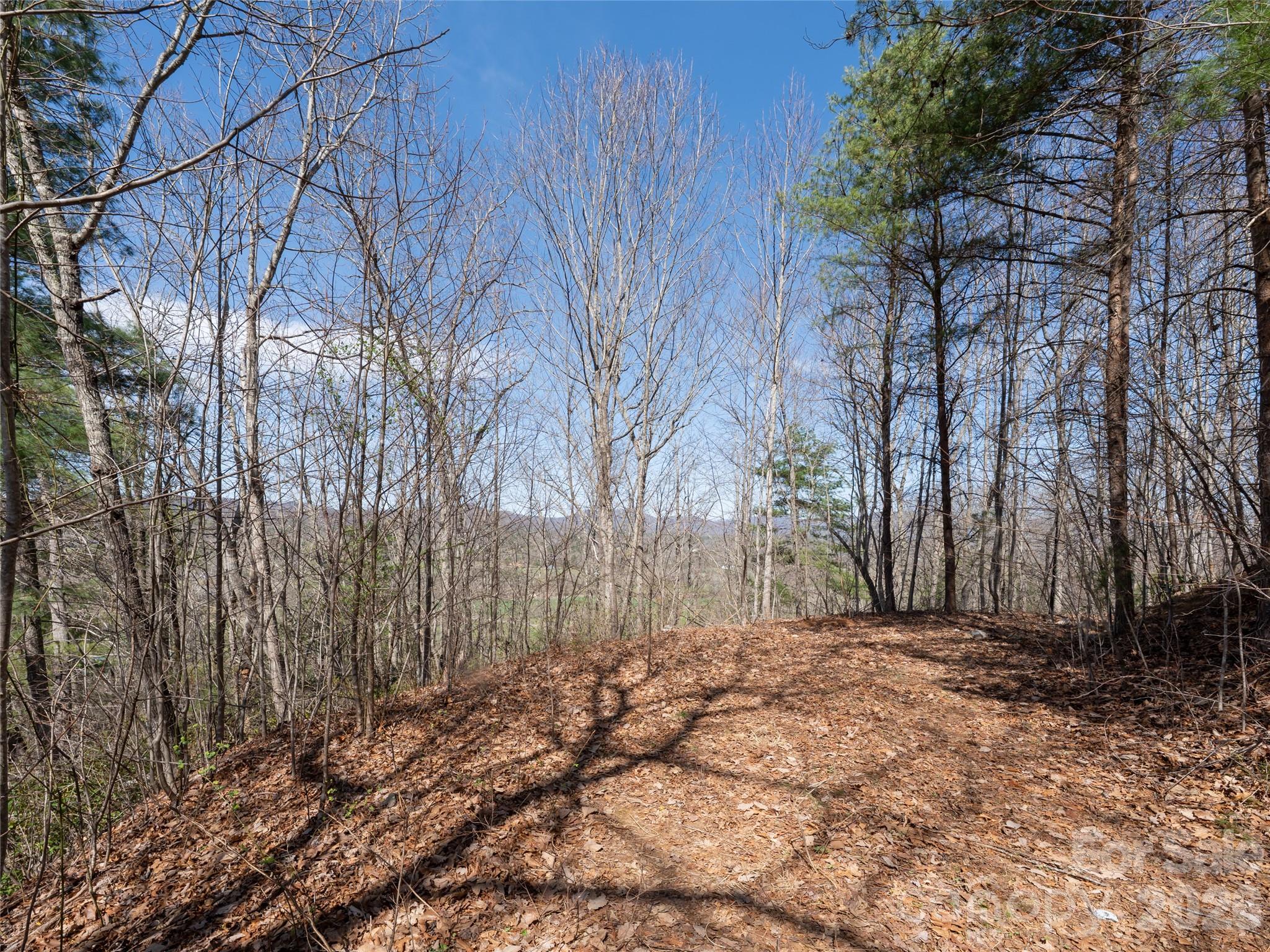 Okoboji Wilderness - Land