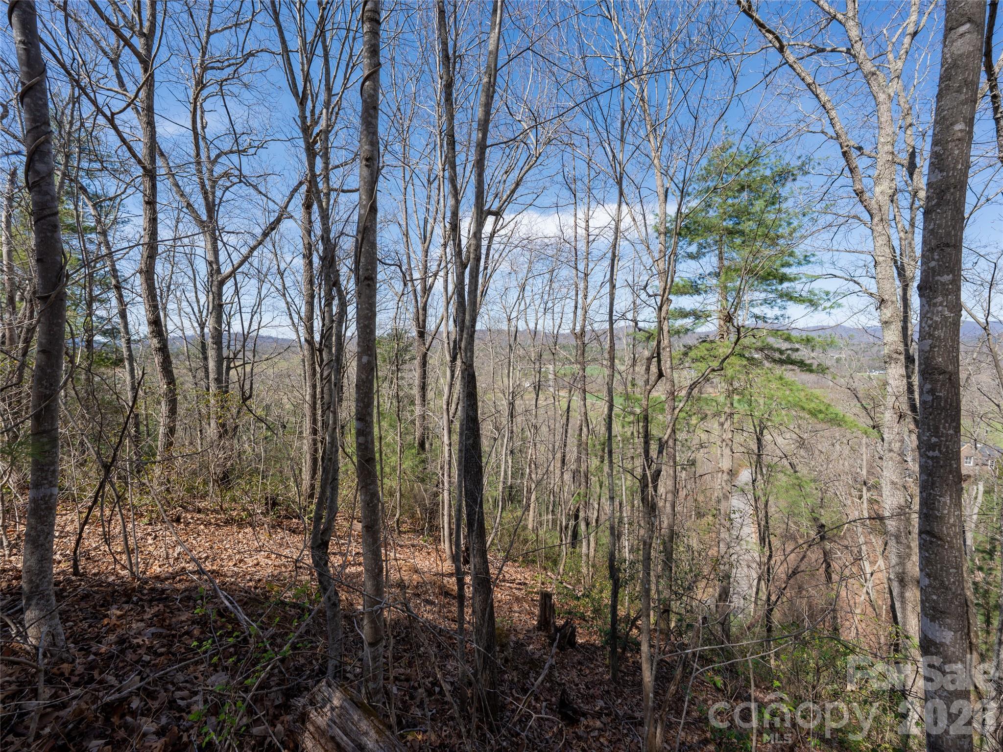 Okoboji Wilderness - Land