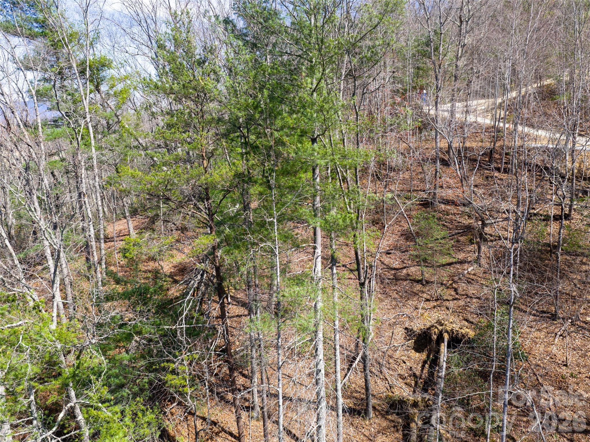 Okoboji Wilderness - Land