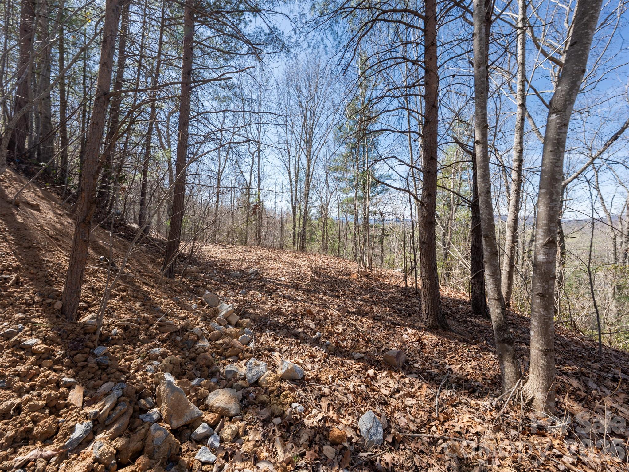 Okoboji Wilderness - Land