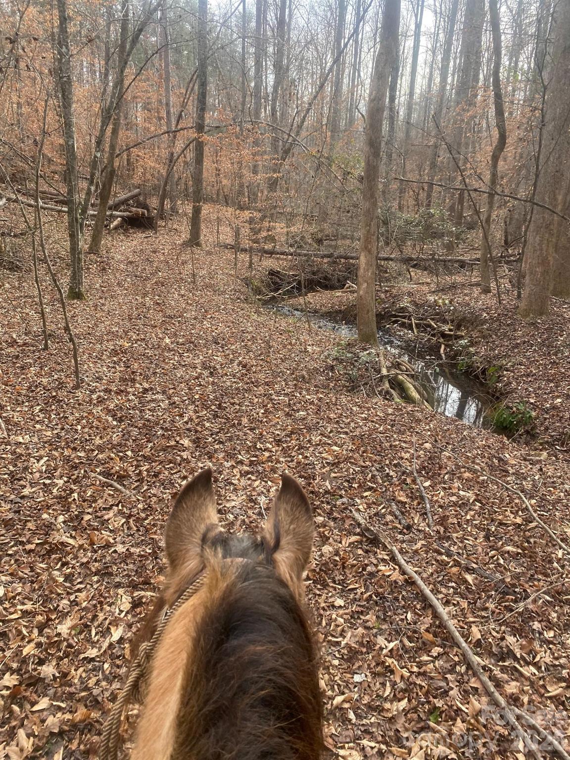 3205 Collinsville Road