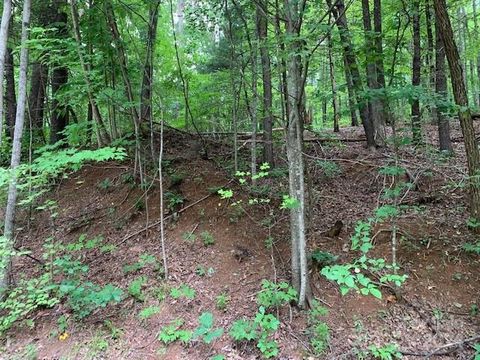 Lot 49-50 Mckenzie Way S Old Fort NC 28762