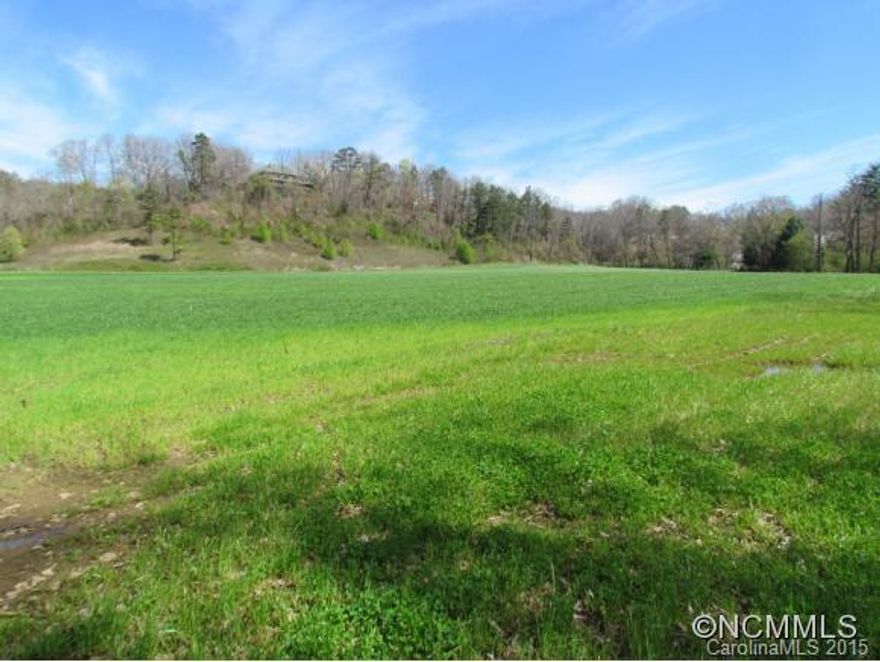 15.2 Acres of majestic rolling pastures with potential for residential properties, nursery, summer camp, golf driving range, farming. Currently leased for seasonal crop farming. Private access to Pigeon River provides potential for irrigation and relaxation. Tubing, canoeing, kayaking and fishing. Great for an outdoors-man/woman. Rustic barn at the back of the property. A must see property for anyone looking for lots of country right in town