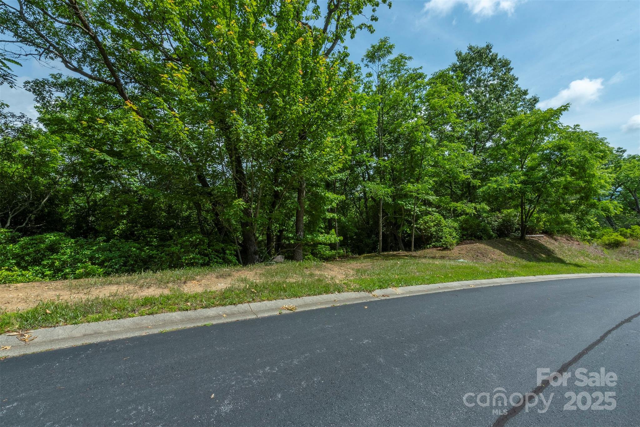 99999 Blue Mountain Way 113