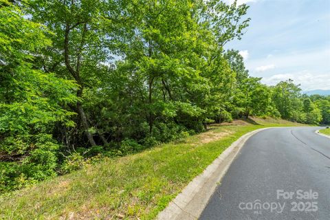 99999 Blue Mountain Way 113 Horse Shoe NC 28742