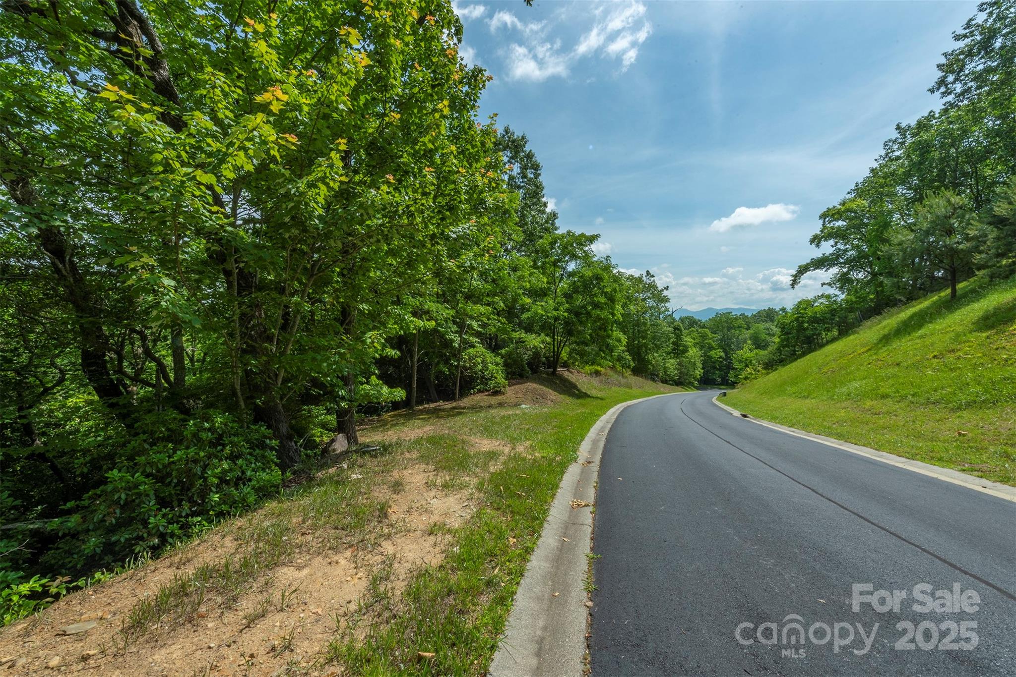 99999 Blue Mountain Way 113